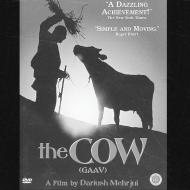 The Cow. A Fil by Dariush Mehrjui